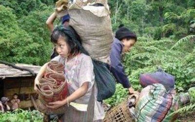 Burma Military Attacks Cause Trouble for Karen Students